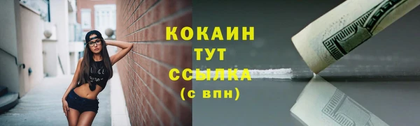 амф Новокубанск