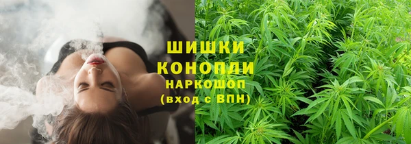 амф Новокубанск