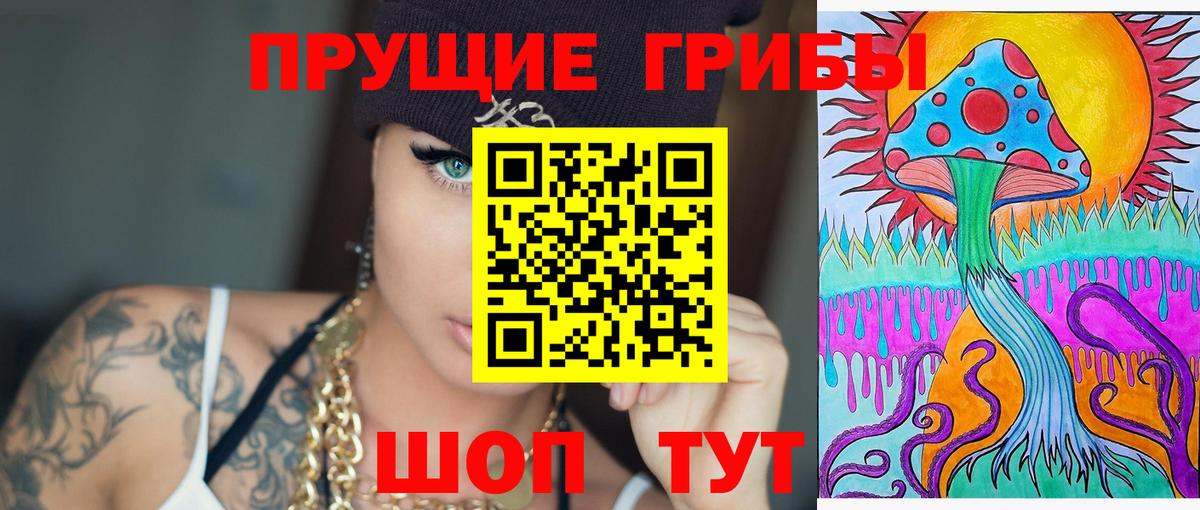 Псилоцибиновые грибы Psilocybine cubensis  Балахна  Псилоцибиновые грибы прущие грибы 